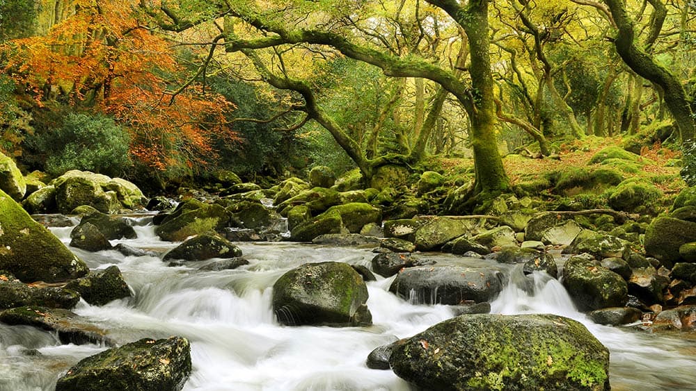 waterfall-dartmoor
