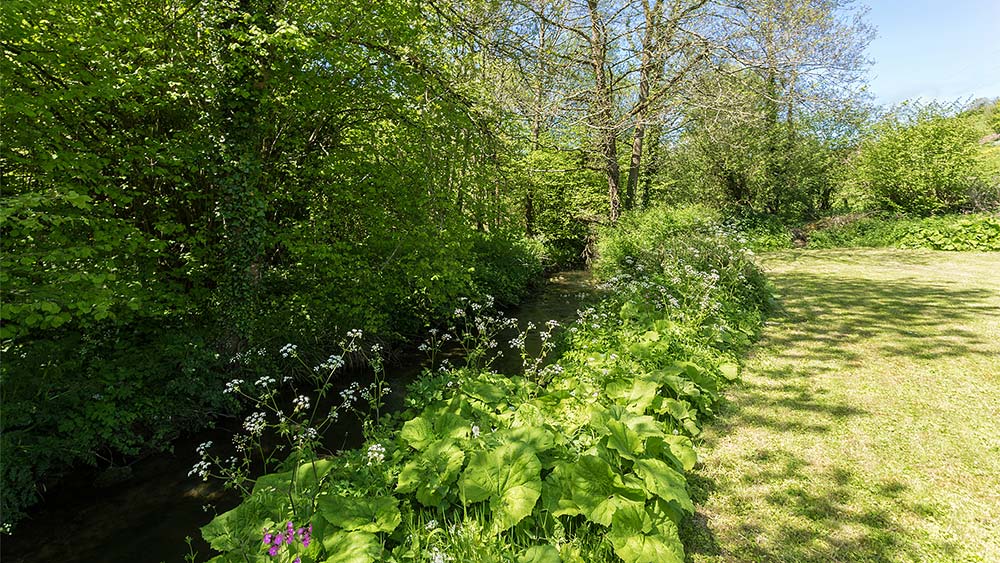 bridge-cottage-powerstock-garden