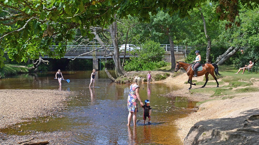 horse-ride-brockenhurst