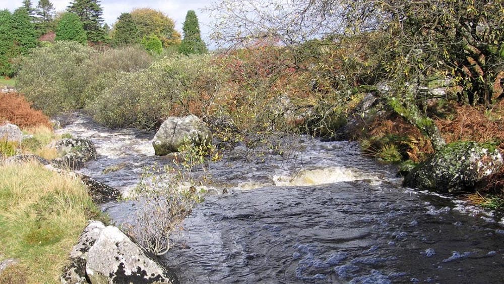 Dartmoors-Daughter-River-Taw